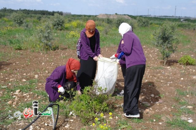 مجلس جت ومكتب حماية البيئة في لواء حيفا ينظمون نشاطات مميزة في يوم النظافة القومي بمشاركة مئات الطلاب 